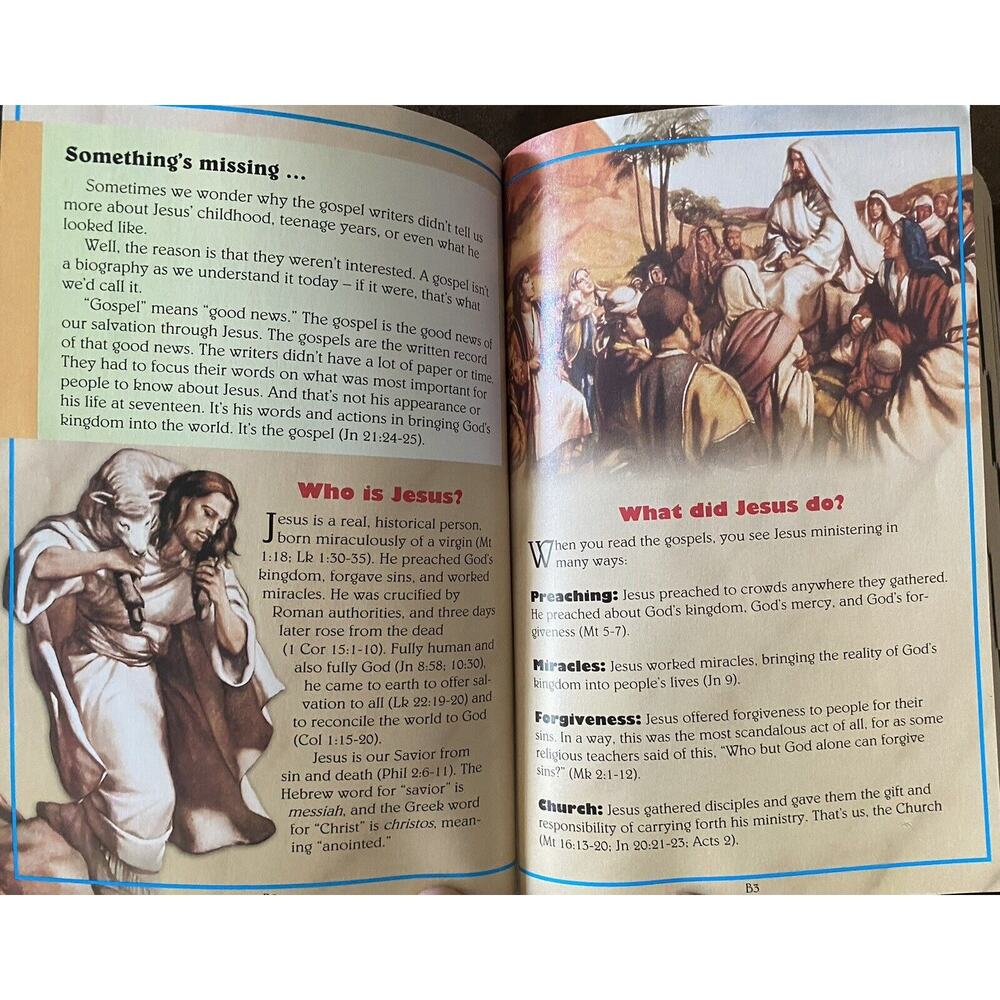 The Catholic Teen Bible StudyNAB Revised Edition Illustrated Inserts - Picture 9 of 16